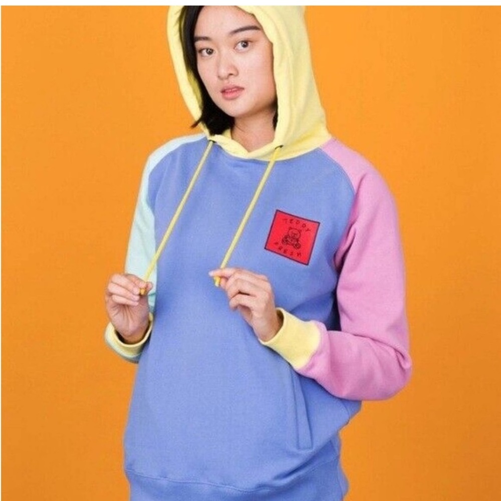 Teddy Fresh Color Block Hooded Sweatshirt - Picture 2 of 7